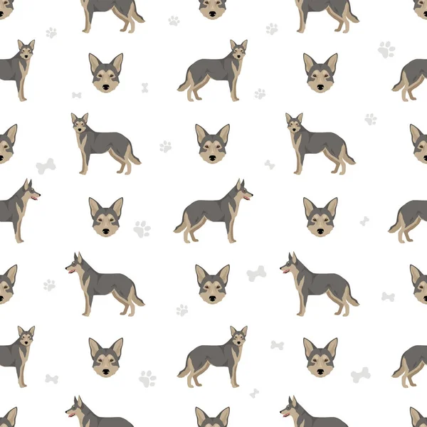 Saarloos Patrón Inconsútil Wolfdog Todos Los Colores Del Abrigo Establecidos — Vector de stock