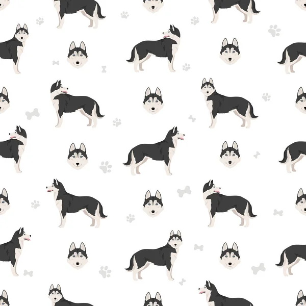 Сибирский Хаски Бесшовный Рисунок Цвета Шерсти Установлены Породы Собак Представлены — стоковый вектор