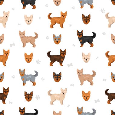 Kek pürüzsüz desen. Chihuahua Yorkshire Teriyer karışımı. Farklı ceket renkleri. Vektör illüstrasyonu