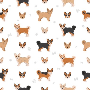 Corgipoo kusursuz desen. Welsh corgi kaniş karışımı. Farklı ceket renkleri. Vektör illüstrasyonu