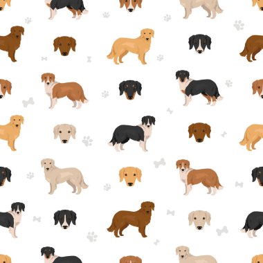 Gollie kusursuz desen. Golden Retriever Collie karışımı. Farklı ceket renkleri. Vektör illüstrasyonu