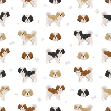 Shih-Poo kusursuz desen. Shih-Tzu kaniş karışımı. Farklı ceket renkleri. Vektör illüstrasyonu