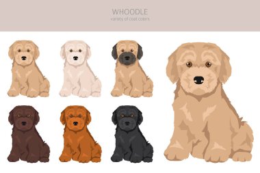 Palavra klipsi. Wheaten terrier kaniş karışımı. Farklı ceket renkleri. Vektör illüstrasyonu