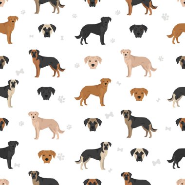 Alman Sheprador kusursuz desen. Alman Çoban Labrador Retriever karışımı. Farklı ceket renkleri. Vektör illüstrasyonu