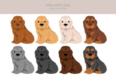 Mini Hippo klipsi. Shar Pei - Cocker Spaniel karışımı. Farklı ceket renkleri. Vektör illüstrasyonu