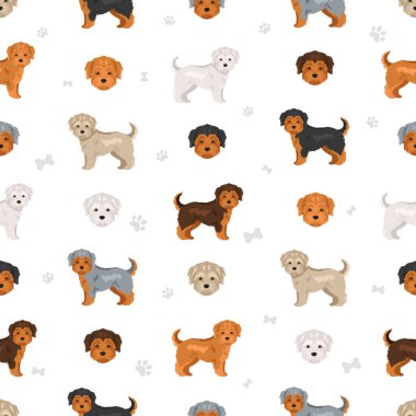 Morki kusursuz desen. Malta Yorkshire Teriyeri karışımı. Farklı ceket renkleri. Vektör illüstrasyonu