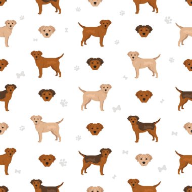 Keskin Kartal kusursuz desen. Shar Pei - Beagle karışımı. Farklı ceket renkleri. Vektör illüstrasyonu