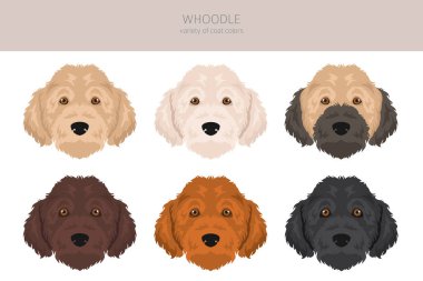 Palavra klipsi. Wheaten terrier kaniş karışımı. Farklı ceket renkleri. Vektör illüstrasyonu