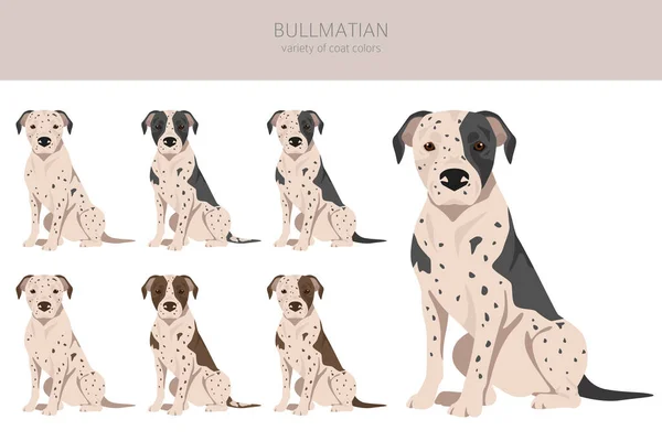 Clipart Bullmatian Mezcla Dálmata Bulldog Conjunto Diferentes Colores Capa Ilustración — Vector de stock