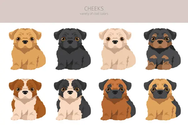Cheeks Clipart Miscela Chihuahua Pechinese Diversi Colori Cappotto Impostati Illustrazione — Vettoriale Stock