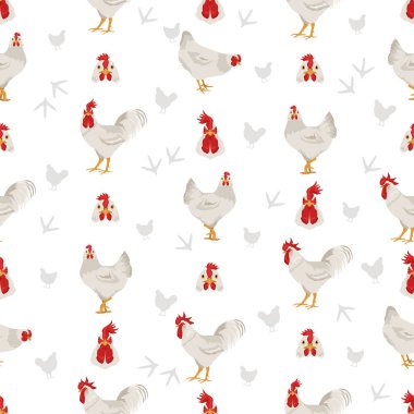 Leghorn tavuğu kusursuz bir desen oluşturur. Kümes hayvanları ve çiftlik hayvanları. Farklı renkler ayarlandı. Vektör illüstrasyonu