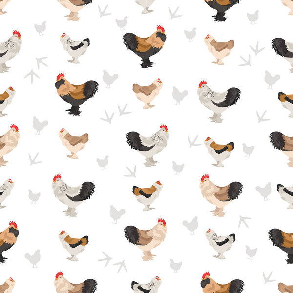 Faverolles Chicken breeds seamless pattern. Poultry and farm animals. Different colors set.  Vector illustration