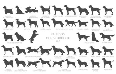Köpek siluetleri besler, basit bir klişe stili vardır. Av köpekleri, av köpekleri koleksiyonu. Vektör illüstrasyonu