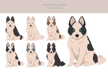Yakutian Laika köpek yavrusu. Farklı pozlar, farklı renkler. Vektör illüstrasyonu