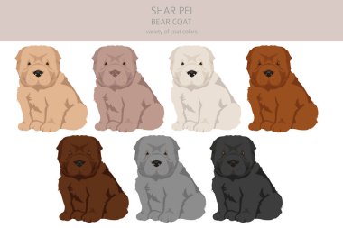 Shar Pei ayı kürkü kuklaları kırpılır. Farklı pozlar, farklı renkler. Vektör illüstrasyonu