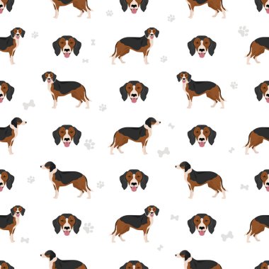 Sırp Üç Renkli Tazı kusursuz desen. Tüm ceket renkleri ayarlandı. Bütün köpekler karakteristik bilgileri çoğaltır. Vektör illüstrasyonu