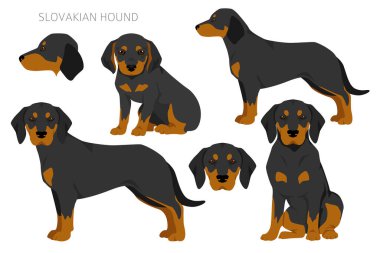 Slovak av köpeği renkleri, farklı pozlar. Vektör illüstrasyonu