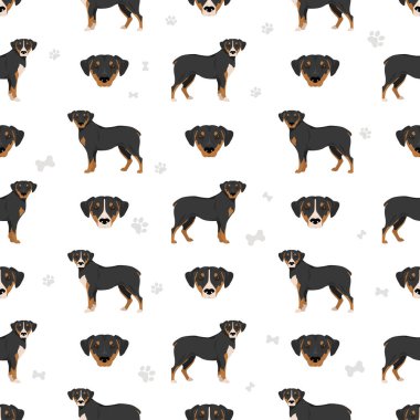 Küçük av köpeği kusursuz desen. Tüm ceket renkleri ayarlandı. Bütün köpekler karakteristik bilgileri çoğaltır. Vektör illüstrasyonu