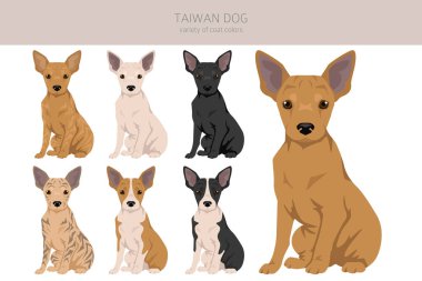 Tayvan köpek yavruları kesiliyor. Farklı pozlar, farklı renkler. Vektör illüstrasyonu