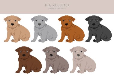 Tayland sırtlı köpek yavruları. Farklı pozlar, farklı renkler. Vektör illüstrasyonu