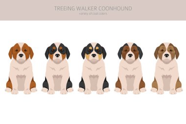 Treeing Walker rakun köpeklerini kırpıyor. Farklı pozlar, farklı renkler. Vektör illüstrasyonu