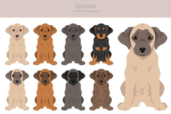 Щенки Sloughi цвета пальто, различные позы клипарт. Векторная иллюстрация