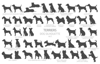 Köpek siluetleri besler, basit bir klişe stili vardır. Av köpekleri, teriyer koleksiyonu. Vektör illüstrasyonu