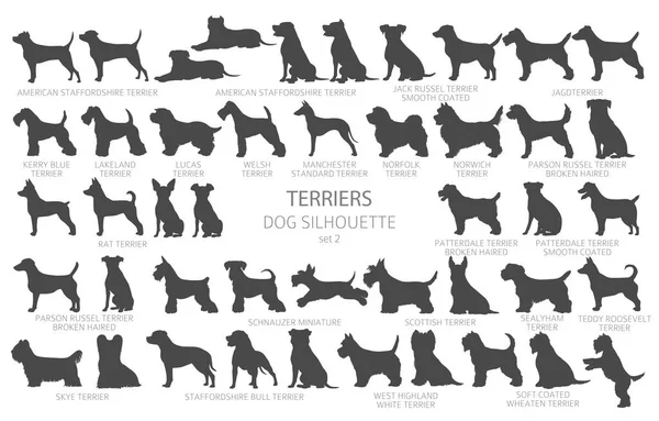 Dog Breeds Silhouettes Simple Style Clipart Hunting Dogs Terrier Collection — Stock Vector