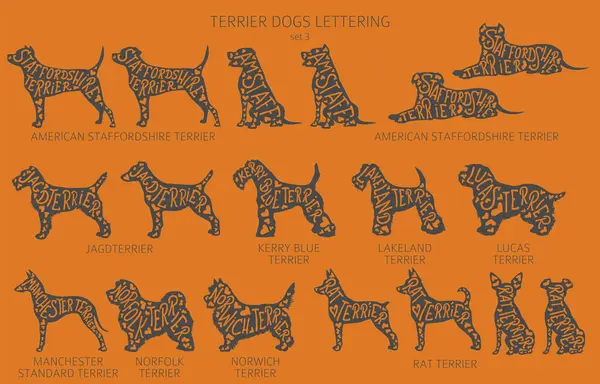Dog Breeds Silhouettes Lettering Simple Style Clipart Hunting Dogs Terrier — Stock Vector
