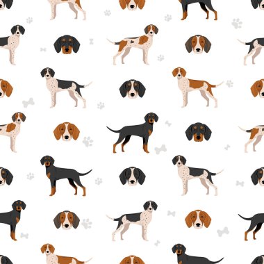 Rastreador Brasileiro kusursuz desen. Tüm ceket renkleri ayarlandı. Bütün köpekler karakteristik bilgileri çoğaltır. Vektör illüstrasyonu