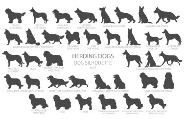 Köpek siluetleri basit bir şekilde yetiştirir. Çoban köpekleri, çoban köpekleri, çoban köpekleri koleksiyonu. Vektör illüstrasyonu