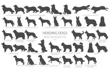 Köpek siluetleri basit bir şekilde yetiştirir. Çoban köpekleri, çoban köpekleri, çoban köpekleri koleksiyonu. Vektör illüstrasyonu