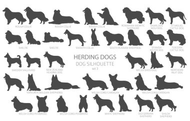 Dog breeds silhouettes simple style clipart. Herding dogs, sheepdog, shepherds collection.  Vector illustration clipart