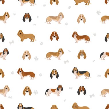 Norman Artesian Basset kusursuz desen. Tüm ceket renkleri ayarlandı. ; Bütün köpekler karakteristik bilgileri çoğaltır. Vektör illüstrasyonu