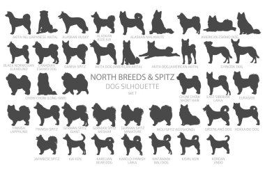 Köpek siluetleri basit bir şekilde yetiştirir. Kuzey kanatları ve Spitz koleksiyonu. Vektör illüstrasyonu
