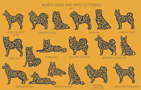 Dog breeds silhouettes with lettering, simple style clipart. North dogs and Spitz collection.  Vector illustration