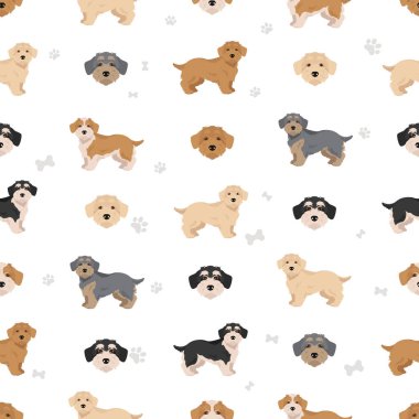 Lucas Terrier kusursuz desen. Farklı ceket renkleri. Vektör illüstrasyonu