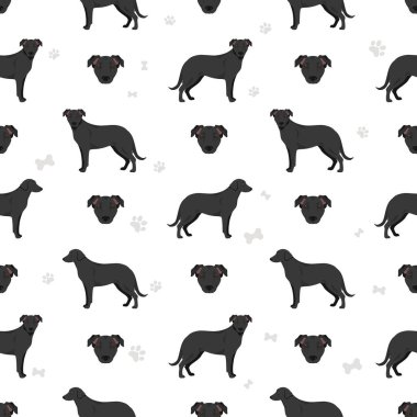 Majorca Çoban Köpeği kusursuz desen. Tüm ceket renkleri ayarlandı. Bütün köpekler karakteristik bilgileri çoğaltır. Vektör illüstrasyonu