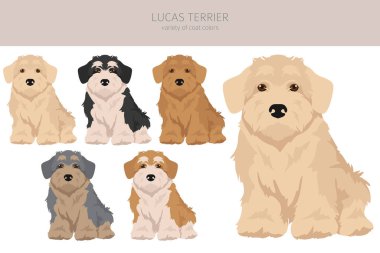 Lucas Terrier tırmanışı. Farklı ceket renkleri. Vektör illüstrasyonu