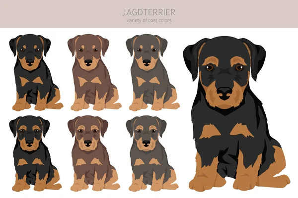 Jagdterrier Puppy Clipart Different Poses Coat Colors Set Vector Illustration — Stock Vector