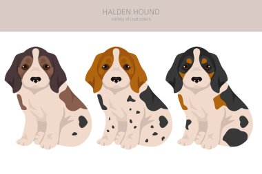 Halden köpek yavrusu kırpması. Farklı pozlar, farklı renkler. Vektör illüstrasyonu