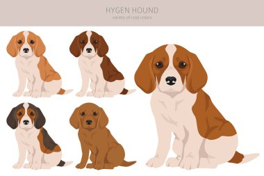 Hygen av köpeği yavrusu kırpması. Farklı pozlar, farklı renkler. Vektör illüstrasyonu