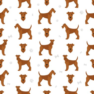 İrlanda teriyeri kusursuz desen. Farklı pozlar, farklı renkler. Vektör illüstrasyonu