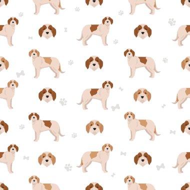 İstriya 'nın kaba saçlı, kusursuz av köpeği deseni. Farklı pozlar, farklı renkler. Vektör illüstrasyonu