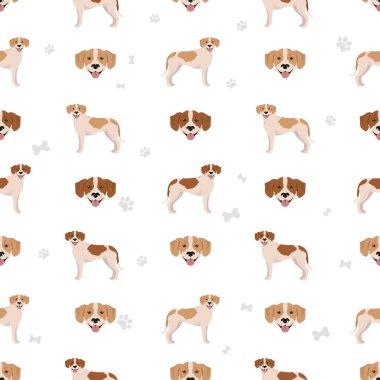 İstrian kısa tüylü av köpeği deseni. Farklı pozlar, farklı renkler. Vektör illüstrasyonu