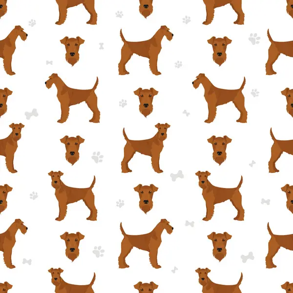 Irish Terrier Seamless Pattern Different Poses Coat Colors Set Vector — Stock Vector