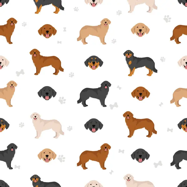 Hovawart Σκυλί Αδιάλειπτη Μοτίβο Διαφορετικές Πόζες Σετ Χρωμάτων Εικονογράφηση Διανύσματος Εικονογράφηση Αρχείου