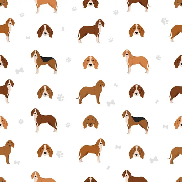Χαϊτζίν Κυνηγόσκυλο Διαφορετικές Πόζες Σετ Χρωμάτων Εικονογράφηση Διανύσματος Royalty Free Εικονογραφήσεις Αρχείου