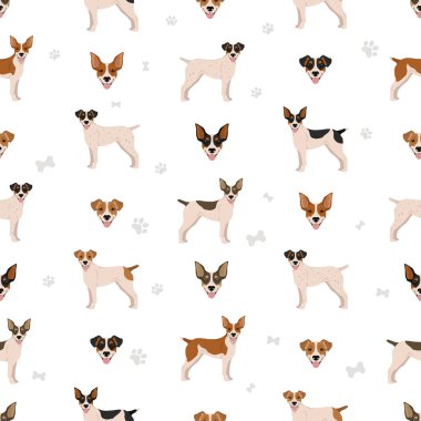 Feist dog seamless pattern. Different coat colors set.  Vector illustration clipart