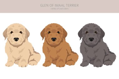 İmaj Teriyeri Glen köpek yavrusu klipsi. Farklı pozlar, farklı renkler. Vektör illüstrasyonu